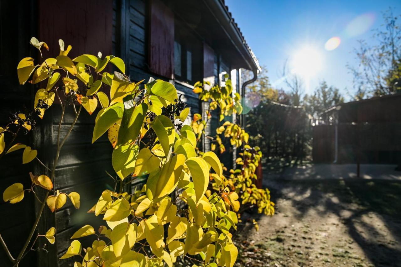 Buenache de la Sierra Casa Rural La Canadiense Log Cabin旅馆 外观 照片